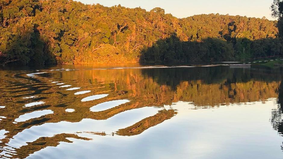 Discover the Kuranda Rainforest by water at Golden Hour! 